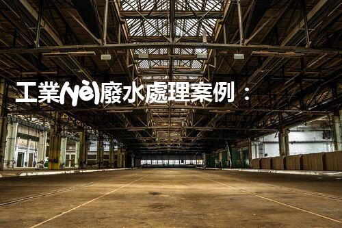工業(yè)廢水處理案例：揭秘高效凈化背后的技術(shù)奇觀！